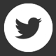 Twitter icon
